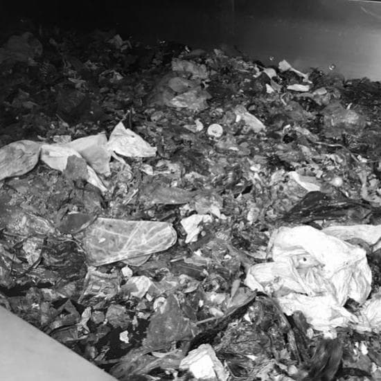 Лінії сушіння відходів та дигестату