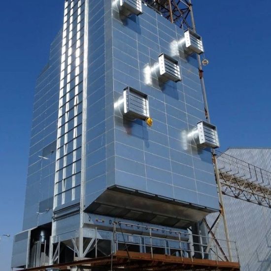 Насіннєва лінія Лотівка-Еліт