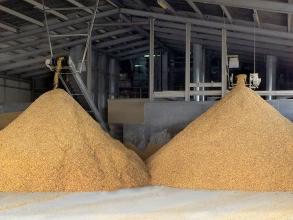 Perry flaked maize production Flaking Mill Upgrade