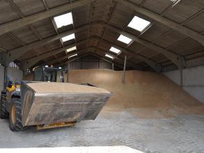 Perry grain store Colour Sorter