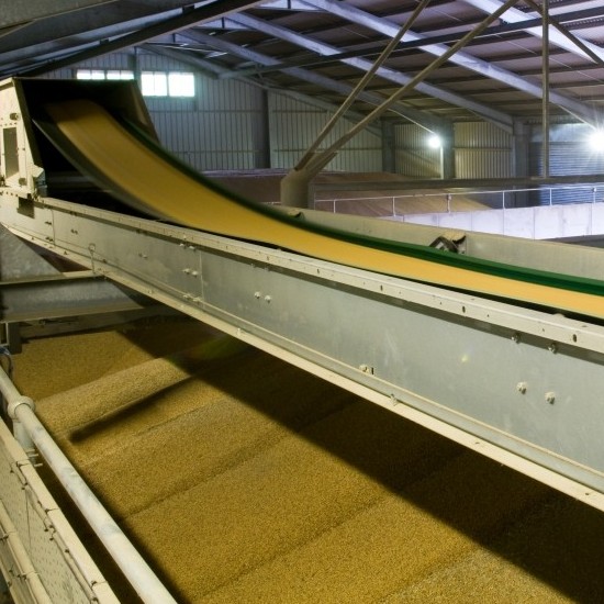 Perry chevron belt conveyor