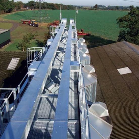 Perry silo loading conveyor