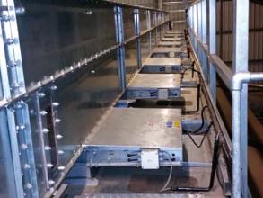 Perry drier filling conveyor