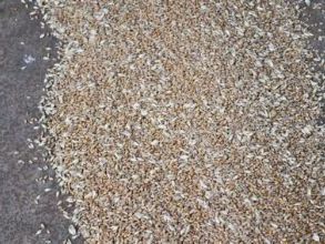 Зерно після фотосепарації