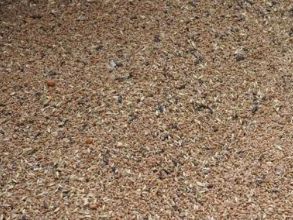 Зерно перед фотосепарацією