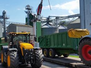 Perry grain sampling at commercial store