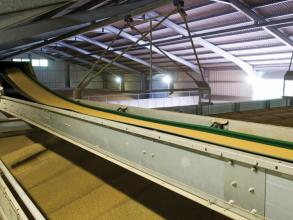 Perry level filling conveyor