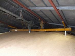 Perry maximising grain storage