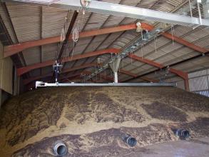 Perry shed filling conveyors