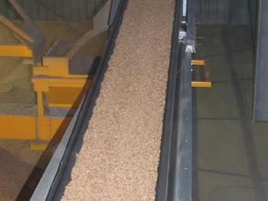 Perry store filling conveyor
